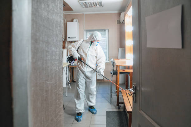 Best Mold Prevention Services  in Lake Hamilton, FL