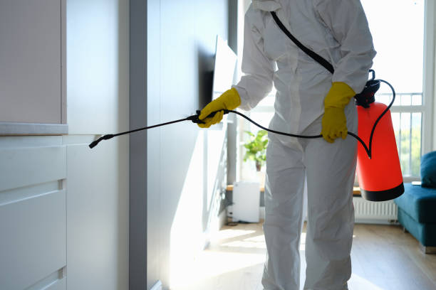 Best Airborne Mold Testing  in Lake Hamilton, FL