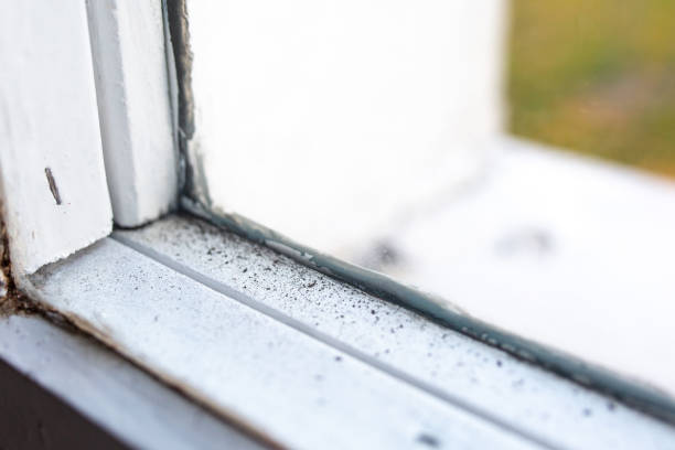 Best Indoor Air Quality Assessment  in Lake Hamilton, FL