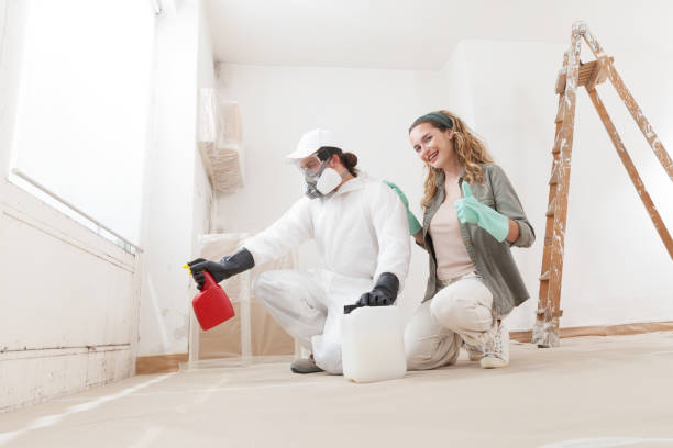 Best Black Mold Removal  in Lake Hamilton, FL